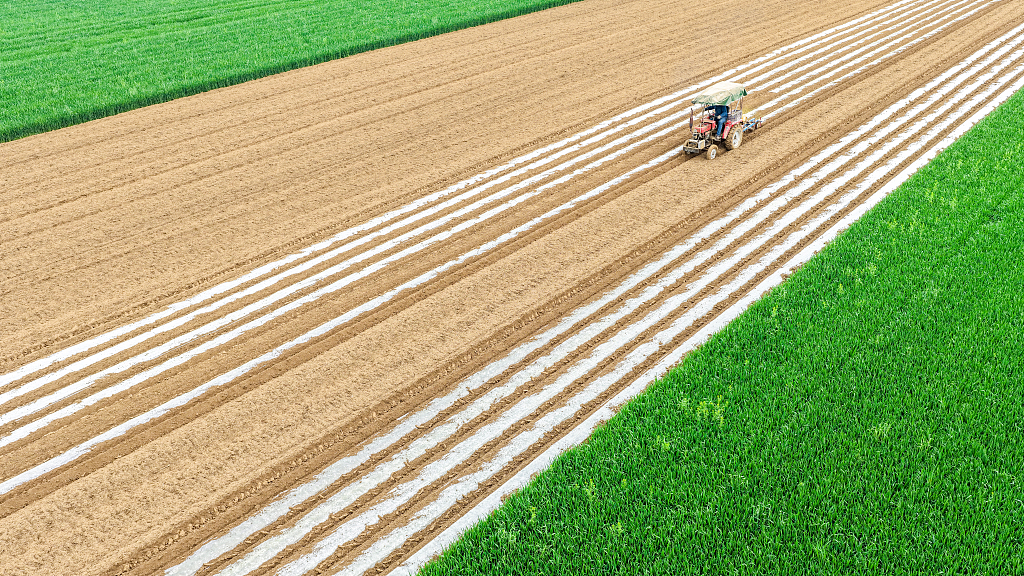 河南睢县：农机手驾驶播种机种植花生