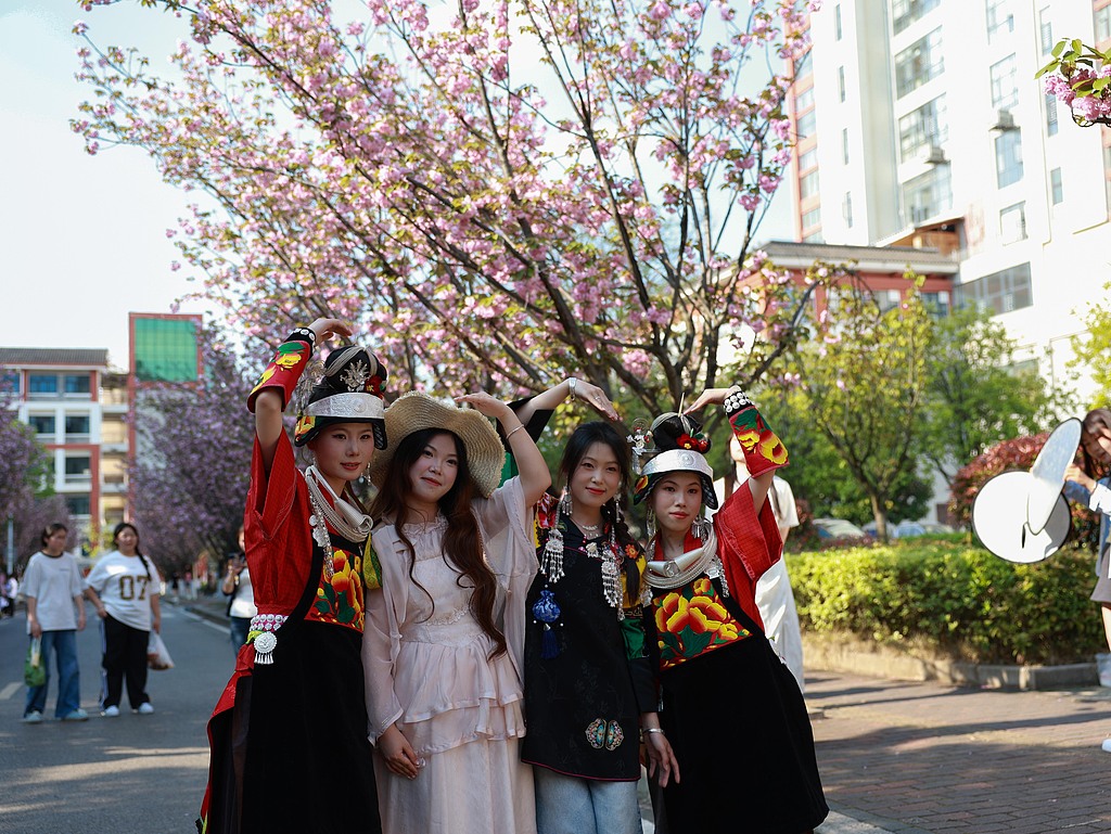 贵州凯里：街头樱花盛放 吸引市民赏花拍照