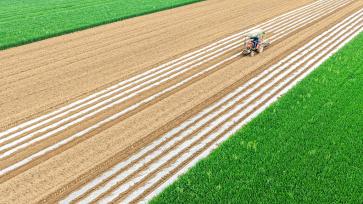 河南睢县：农机手驾驶播种机种植花生