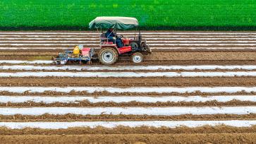 河南睢县：农机手驾驶播种机种植花生