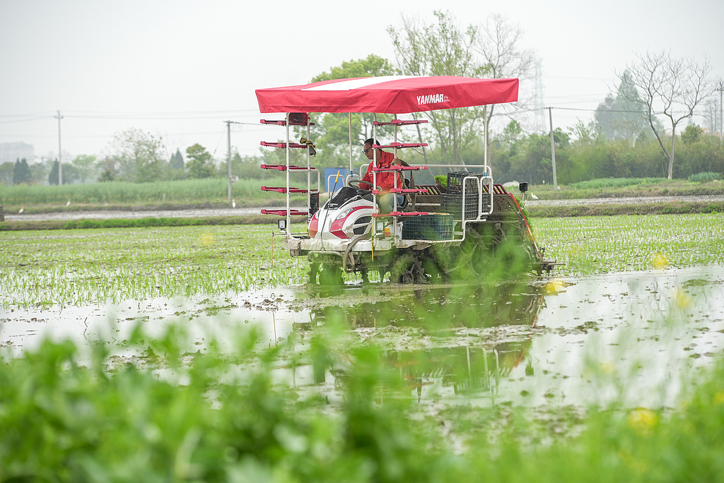 浙江湖州：农民驾驶农机插秧