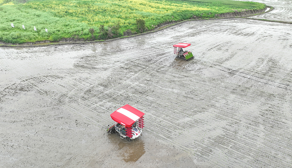 浙江湖州：农民驾驶农机插秧