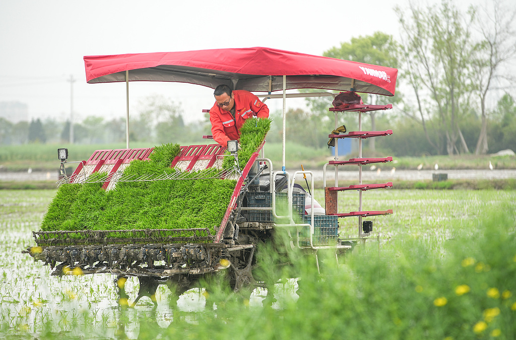 浙江湖州：农民驾驶农机插秧