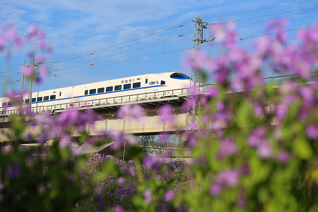 山东日照：列车在花海中穿行