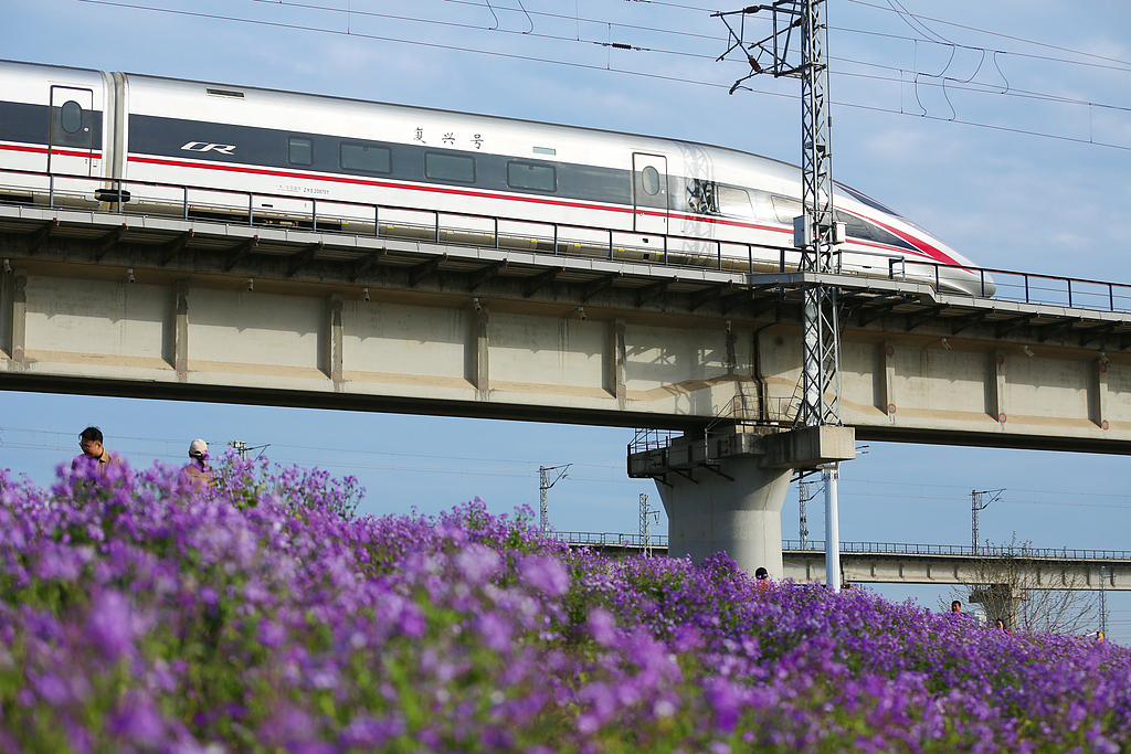 山东日照：列车在花海中穿行