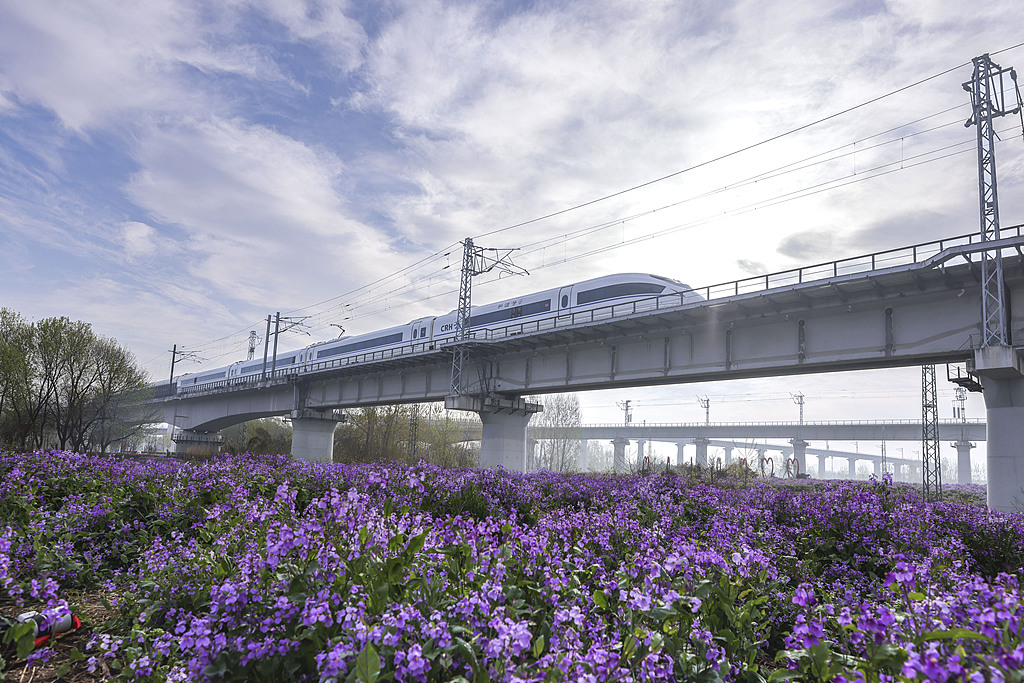 山东日照：列车在花海中穿行