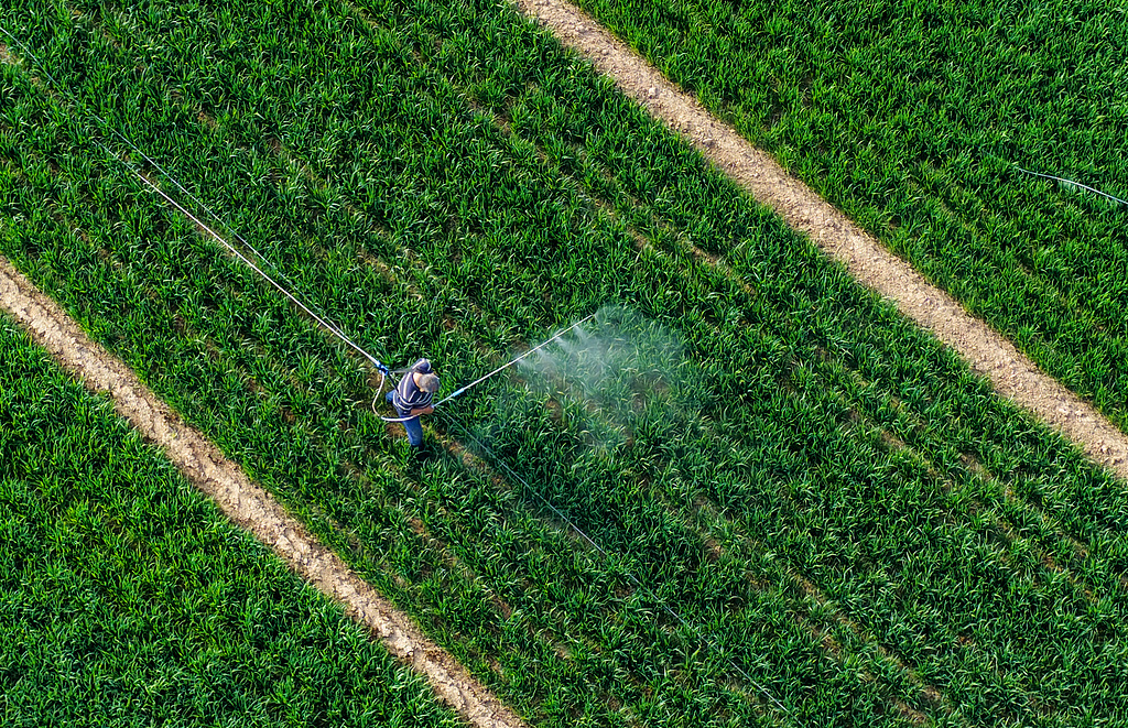 山西襄汾：农民开展麦田喷药作业
