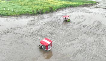 浙江湖州：农民驾驶农机插秧