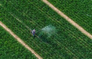 山西襄汾：农民开展麦田喷药作业