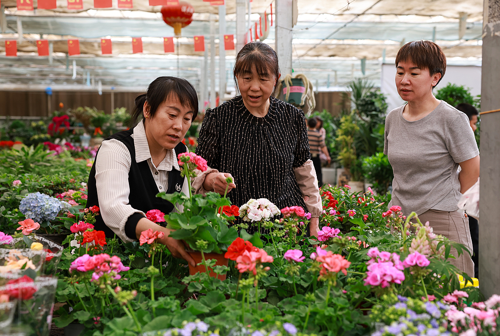 甘肃酒泉：春日鲜花市场迎来销售旺季