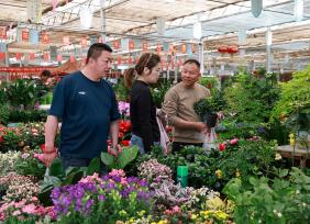 甘肃酒泉：春日鲜花市场迎来销售旺季