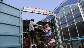 贵州榕江：工作人员装箱转运罗汉果苗