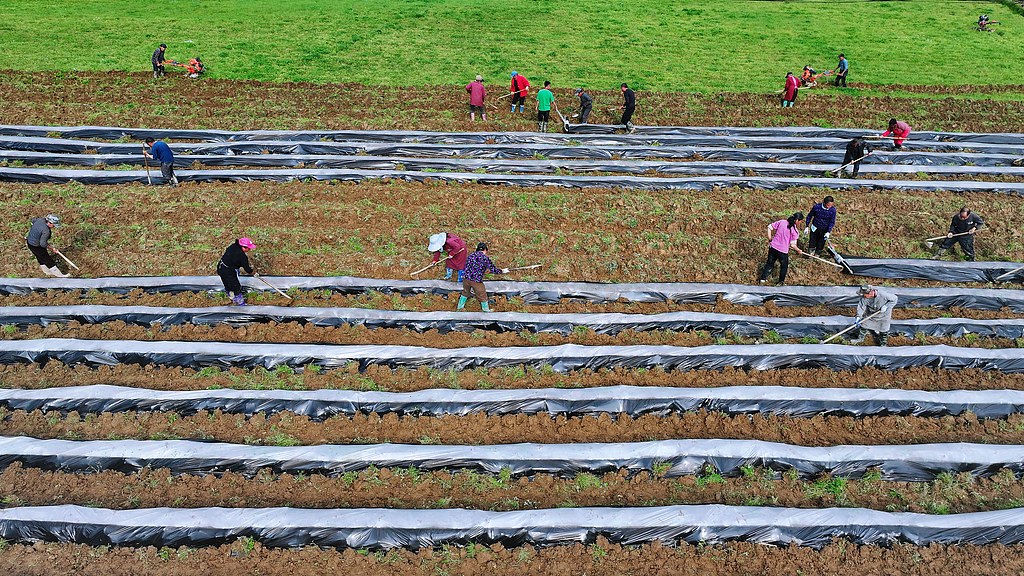 重庆：春耕春种正当时