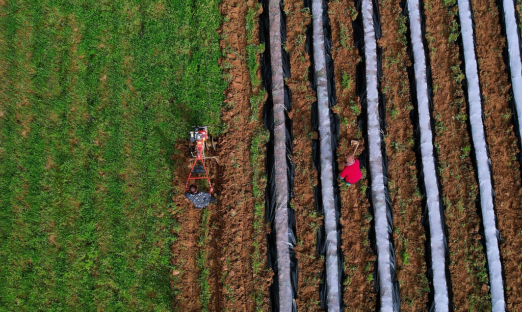 重庆：春耕春种正当时
