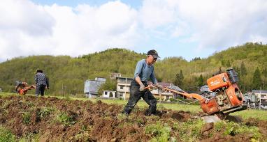 重庆：春耕春种正当时