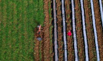 重庆：春耕春种正当时