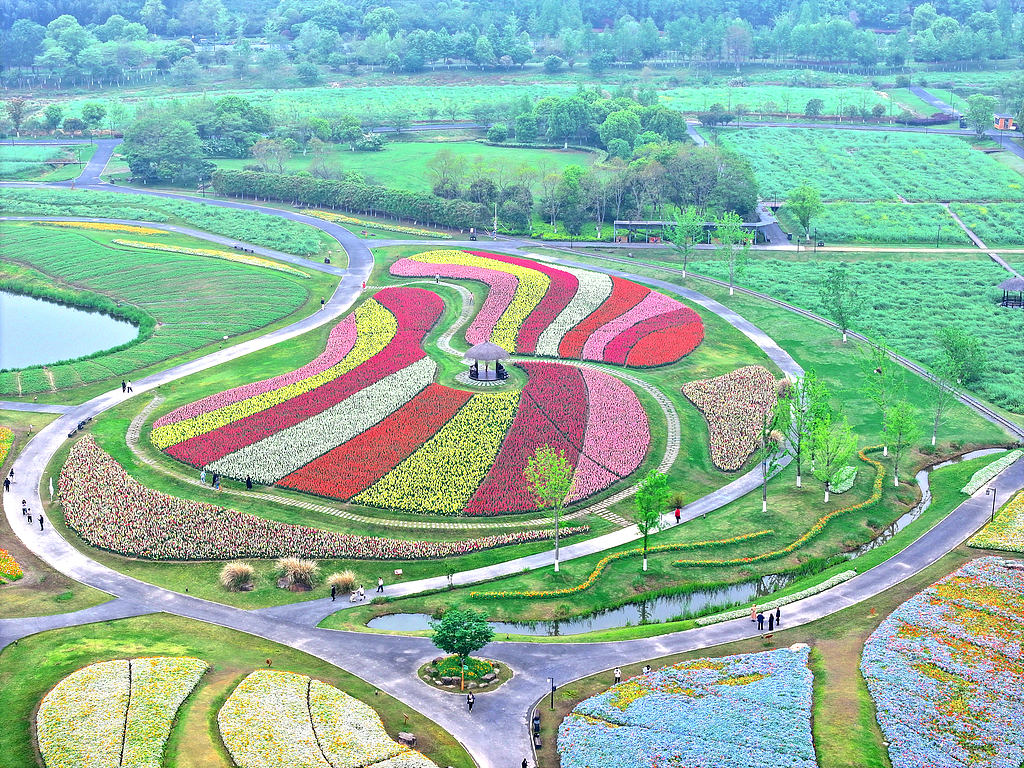 浙江杭州：径山花海春色如画
