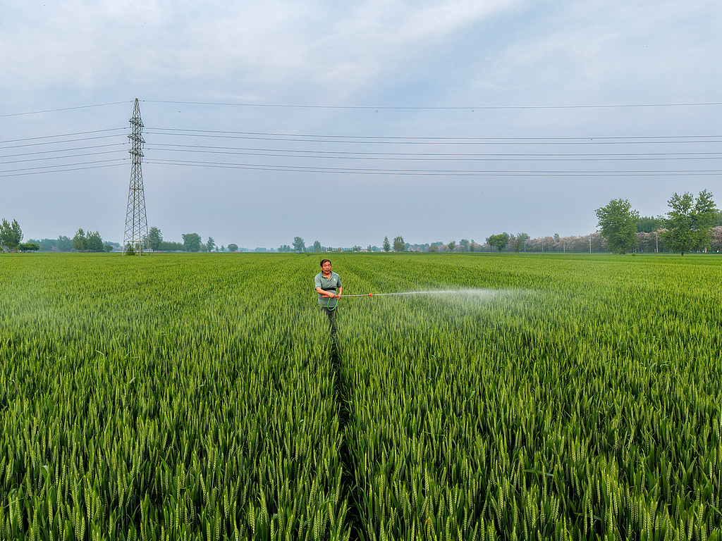 安徽亳州：农民抢抓农时促增收