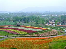 浙江杭州：径山花海春色如画