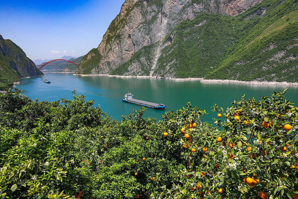 湖北宜昌：船舶行驶在长江西陵峡江面上