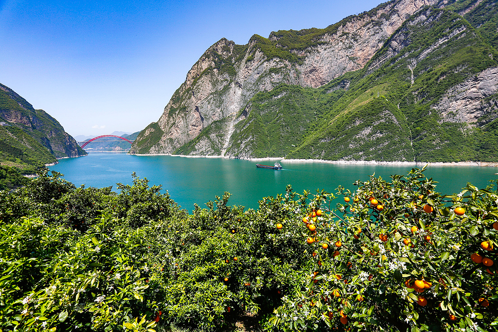 湖北宜昌：船舶行驶在长江西陵峡江面上