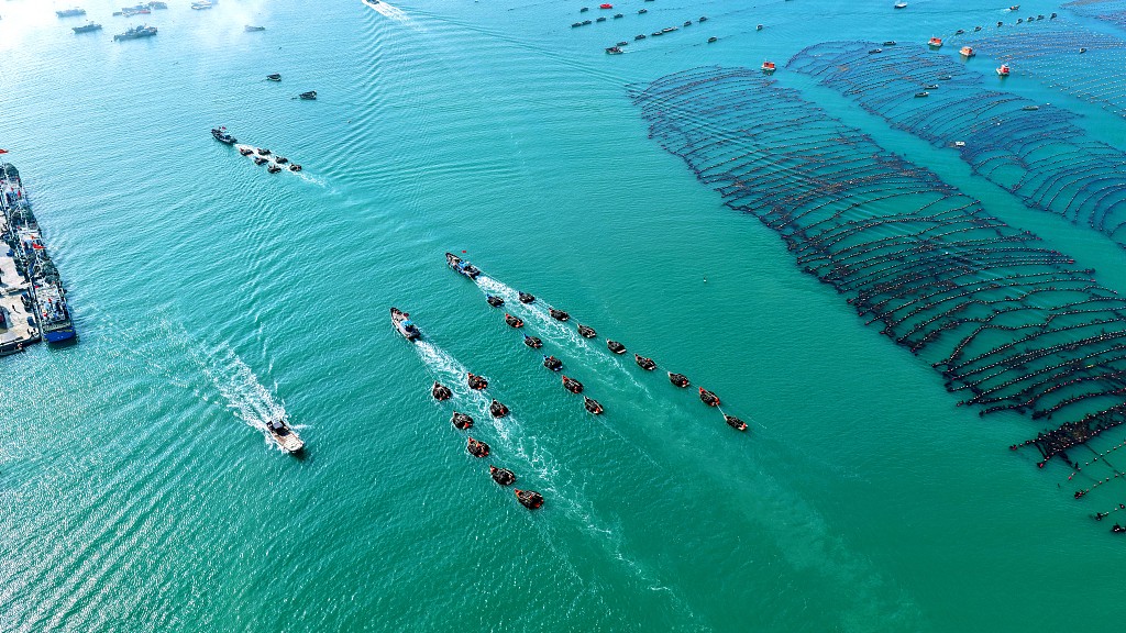 山东荣成：养殖工人驾驶渔船返回码头