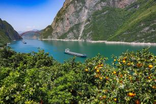 湖北宜昌：船舶行驶在长江西陵峡江面上