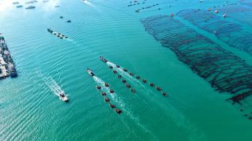 山东荣成：养殖工人驾驶渔船返回码头