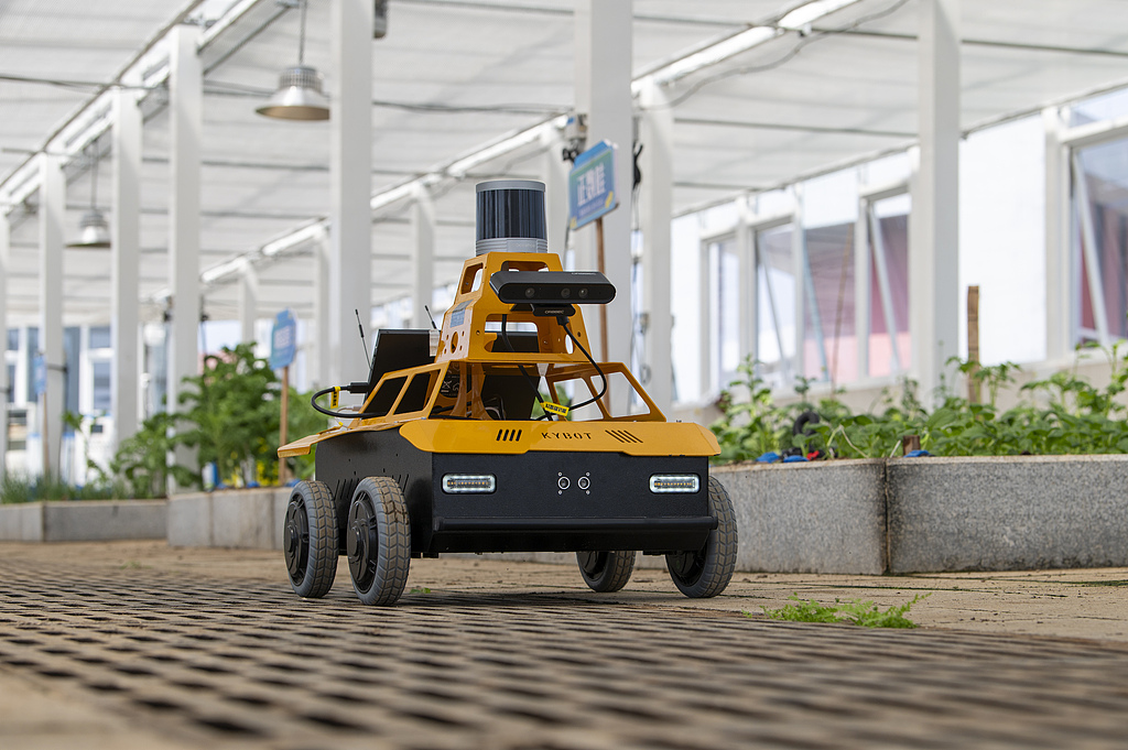 浙江金华：AI农业巡检机器人开展巡检