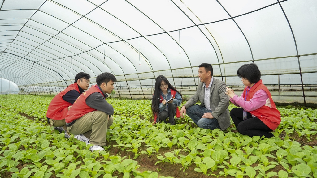 江西吉安：青年实干家助力乡村振兴