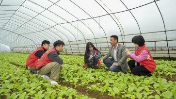 江西吉安：青年实干家助力乡村振兴