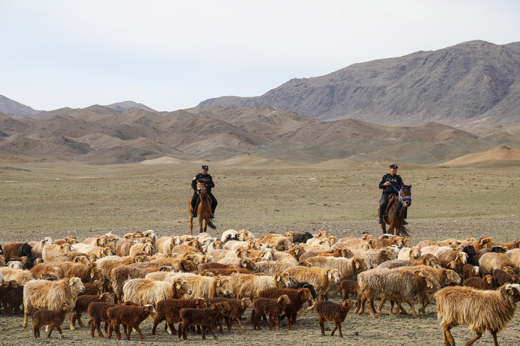新疆阿勒泰：边境民警护航牧民春季转场