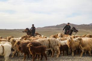 新疆阿勒泰：边境民警护航牧民春季转场