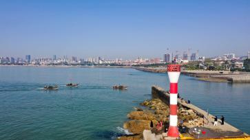 山东日照：伏季休渔期临近 渔船返港备休渔