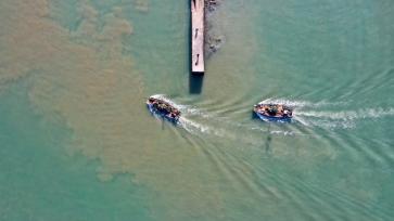 山东日照：伏季休渔期临近 渔船返港备休渔