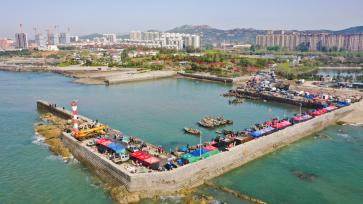 山东日照：伏季休渔期临近 渔船返港备休渔