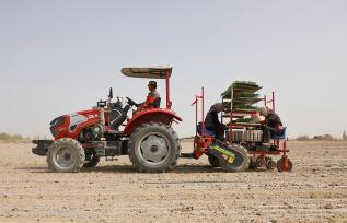 甘肃酒泉：机械化助力番茄移栽