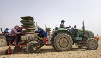 甘肃酒泉：机械化助力番茄移栽