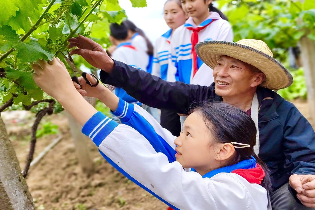 四川巴中：学生果园体验劳动乐趣