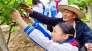 四川巴中：学生果园体验劳动乐趣
