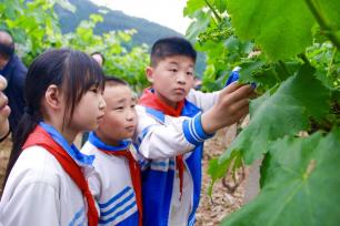 四川巴中：学生果园体验劳动乐趣