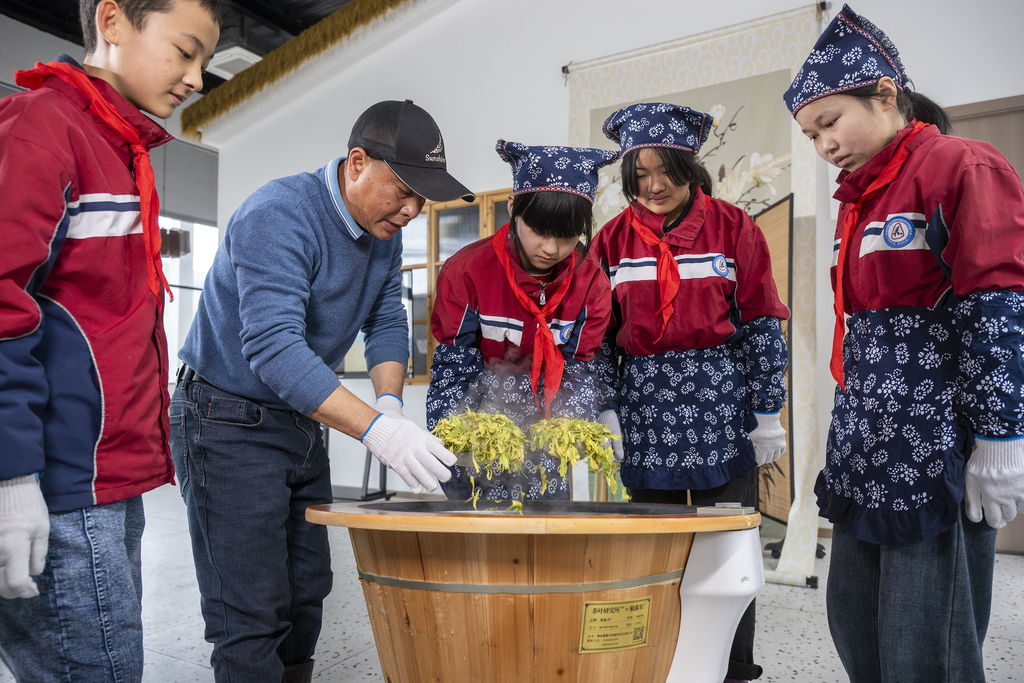 安徽芜湖：劳动实践课堂搬进茶园