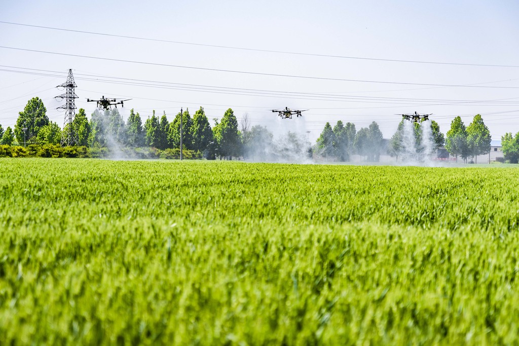 山西运城：小麦“一喷三防”保丰收