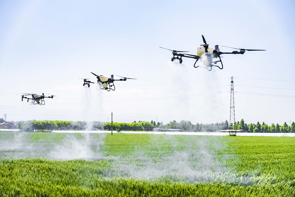 山西运城：小麦“一喷三防”保丰收