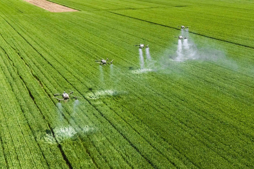 山西运城：小麦“一喷三防”保丰收