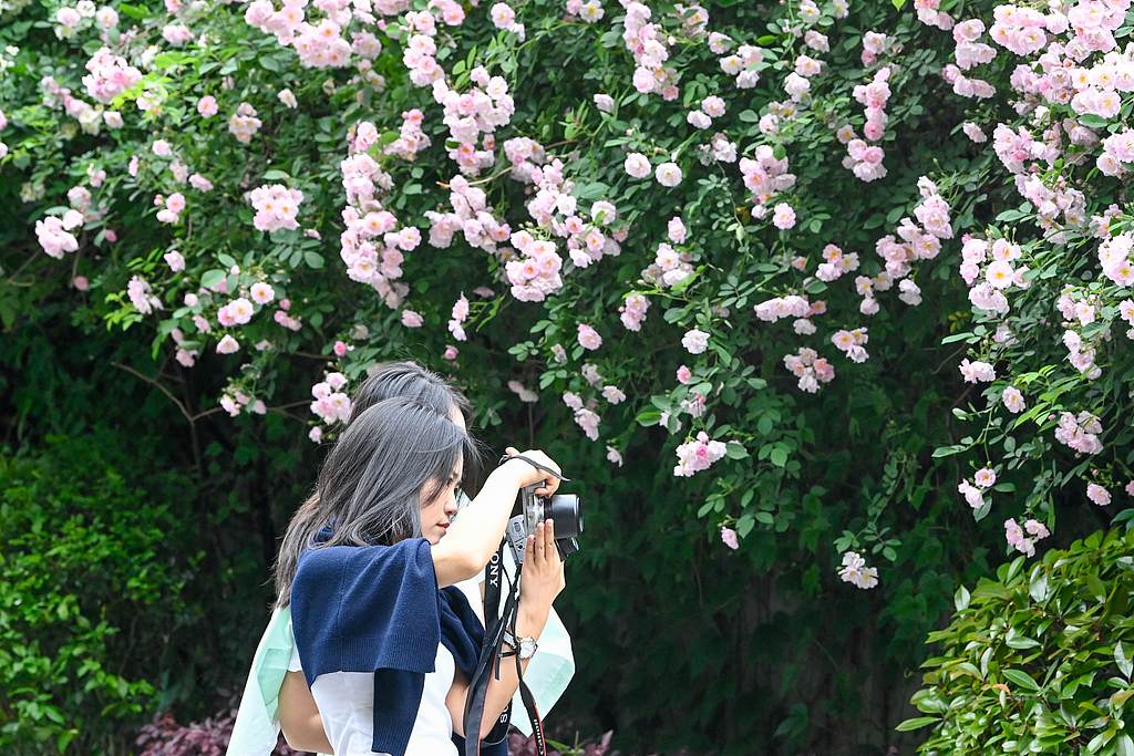 重庆：古城花开迎客来