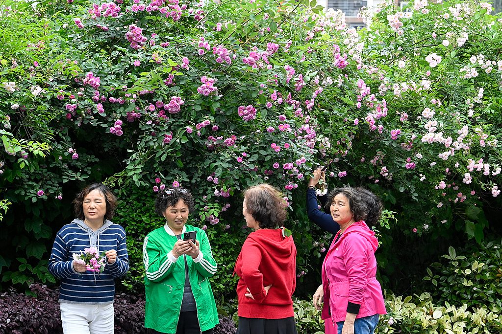 重庆：古城花开迎客来