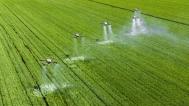 山西运城：小麦“一喷三防”保丰收
