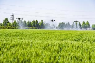 山西运城：小麦“一喷三防”保丰收