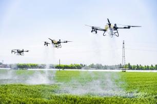 山西运城：小麦“一喷三防”保丰收